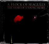 A Flock Of Seagulls Story Of A Young Heart