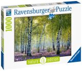 Ravensburger Ravensburger Puzzle - Březový les 1000 dílků