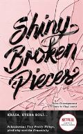 #booklab Shiny Broken Piece