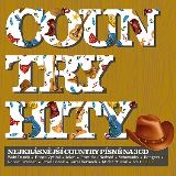 Rzn interpreti Country hity (3CD)
