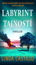 MOBA Labyrint tajností