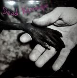 Dead Kennedys Plastic Surgery Disasters