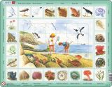 Larsen Puzzle MAXI - Život u moře/48 dílků