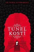 Schwabov Victoria Tunel kost