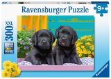Ravensburger Ravensburger Puzzle - Roztomilá mláďata 300 dílků