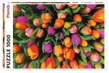 Piatnik Puzzle Tulipány / 1000 dílků