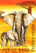 Akim Černý Petr - Safari