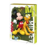 Argus Box na sešity A4 Disney Mickey
