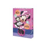 Argus Box na sešity A5 Disney Minnie