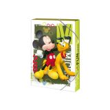Argus Box na sešity A5 Disney Mickey
