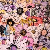 UNIVERSAL MUSIC Jordi