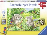 Ravensburger Ravensburger Puzzle - Roztomilé koaly a pandy 2x24 dílků