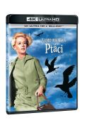 Magic Box Ptáci 4K Ultra HD + Blu-ray