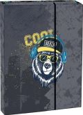 Stil trade Stil Box na sešity s klopou A4 Cool bear