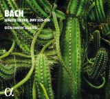 Alpha Bach: Sonates En Trio, BWV 525-530