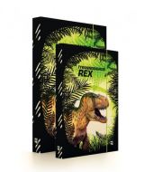 Karton P+P Sada Boxů A4+A5 T-rex
