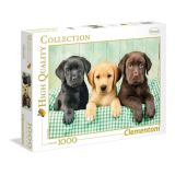 CLEMENTONI Clementoni Puzzle Tři Labradoři / 1000 dílků