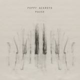 Ackroyd Poppy Pause