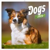 Presco Group Poznámkový kalendář Dogs 2022