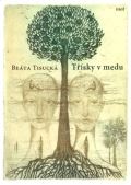 H+H Třísky v medu