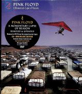 Pink Floyd A Momentary Lapse Of Reason (CD+DVD)