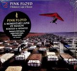 Pink Floyd A Momentary Lapse Of Reason