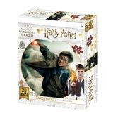 EPEE Harry Potter 3D puzzle - Harry Potter 300 dílků