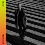 UNIVERSAL MUSIC The bridge (International Holiday Box Set) / LIMITED