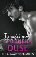 Baronet Ty nejsi moje spřízněná duše