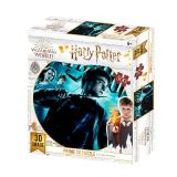 EPEE Harry Potter 3D puzzle - 500 dílků