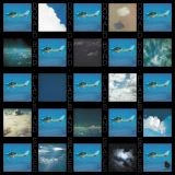 Byrd Donald Places And Spaces