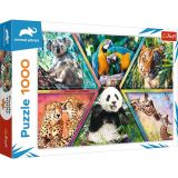 TREFL Puzzle Animal Planet: Království zvířat/1000 dílků