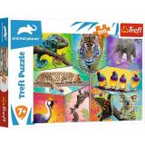 TREFL Puzzle Animal Planet: Svět exotických zvířat/200 dílků