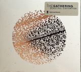 Gathering Beautiful Distortion