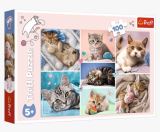 TREFL Puzzle V kočičím světě/100 dílků