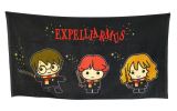 EPEE Harry Potter Osuška 75x150 cm - Kawaii