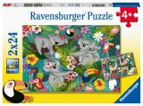 Ravensburger Ravensburger Puzzle - Koaly a lenochodi 2x24 dílků