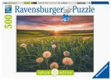 Ravensburger Ravensburger Puzzle - Pampelišky v západu slunce 500 dílků