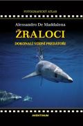 Aventinum Žraloci, dokonalí vodní predátoři