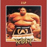 Warner Music Suma Sumarum