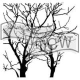 The Crafter´s Workshop TCW Šablona 15,2 x 15,2 cm - Branches Reversed