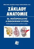 Galn Zklady anatomie. 3b - Moopohlavn a endokrinn systm