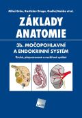 Galén Základy anatomie. 3b - Močopohlavní a endokrinní systém
