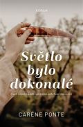 Red Světlo bylo dokonalé