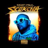 Paul Sean Scorcha