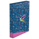 Karton P+P Box na sešity A4 Jumbo - Kolibřík