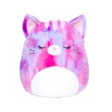 Squishmallows Squishmallows Barevná kočka - Caeli 20 cm