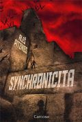 Pitzmos Aleš Synchronicita