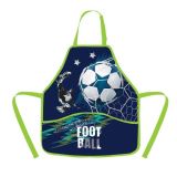 Karton P+P koln zstra - Fotbal