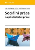 Grada Sociální práce na příkladech z praxe